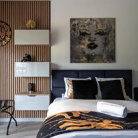 Rentplanet - Kepa Mieszczanska * 弗罗茨瓦夫